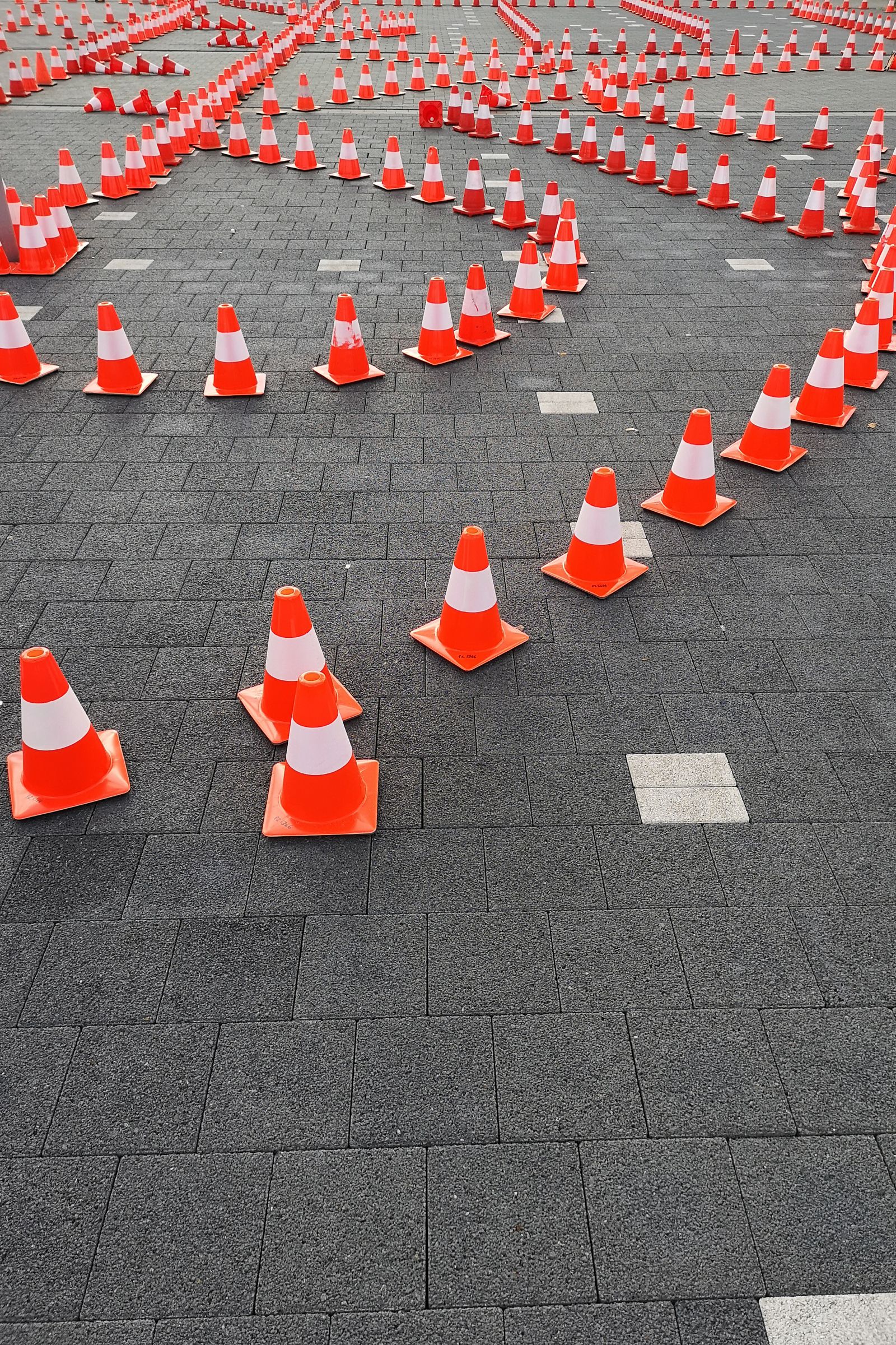 אליפות ספארקו ישראל — סבב 5